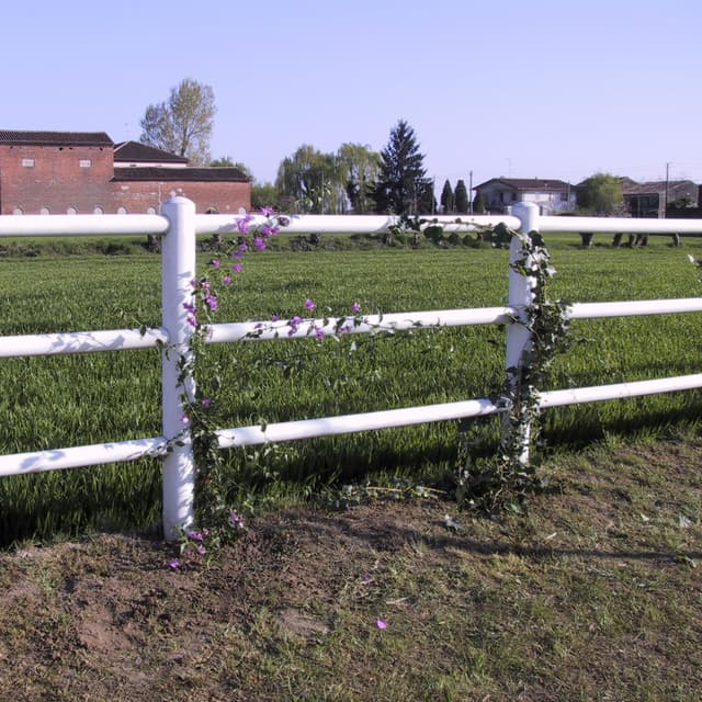 3-rail horse fence