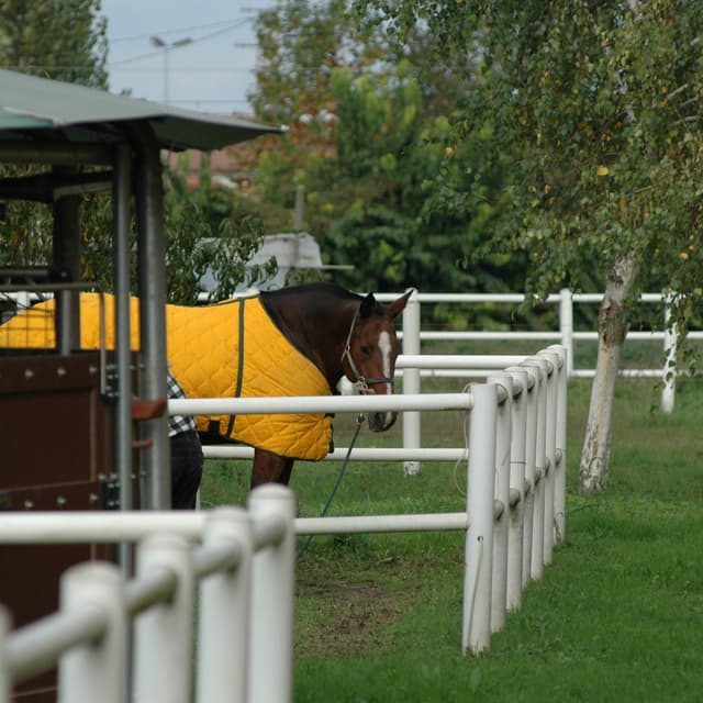 2-rail horse fence