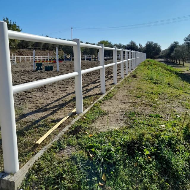 2-rail horse fence